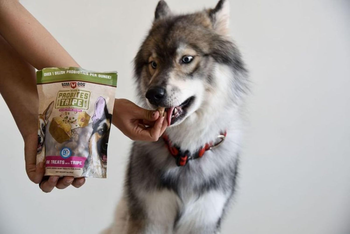 Boss Dog ProBites Pork Tripe Treats for Dogs & Cats, 3 oz