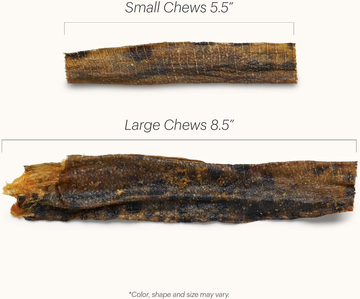 The Honest Kitchen Ocean Chews Wolffish Skins Dog Treats, 6 oz