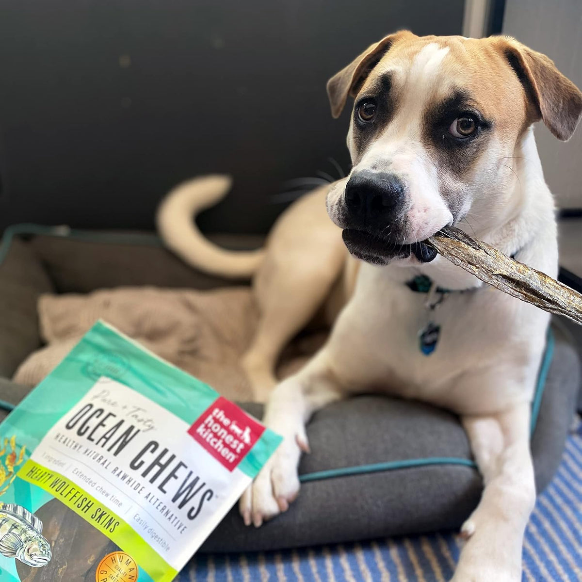 The Honest Kitchen Ocean Chews Wolffish Skins Dog Treats, 6 oz