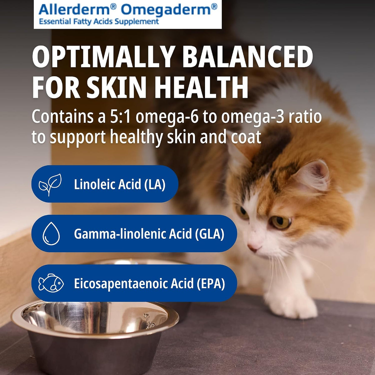 Virbac Allerderm Omegaderm Fatty Acid Supplement for Medium & Large Dogs