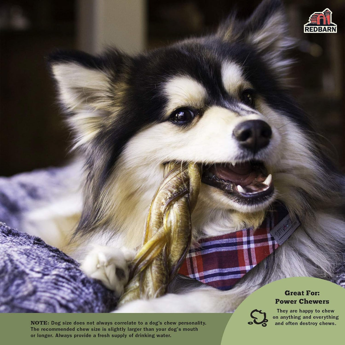 Redbarn Braided Bully Sticks for Dogs, Multi-Pack