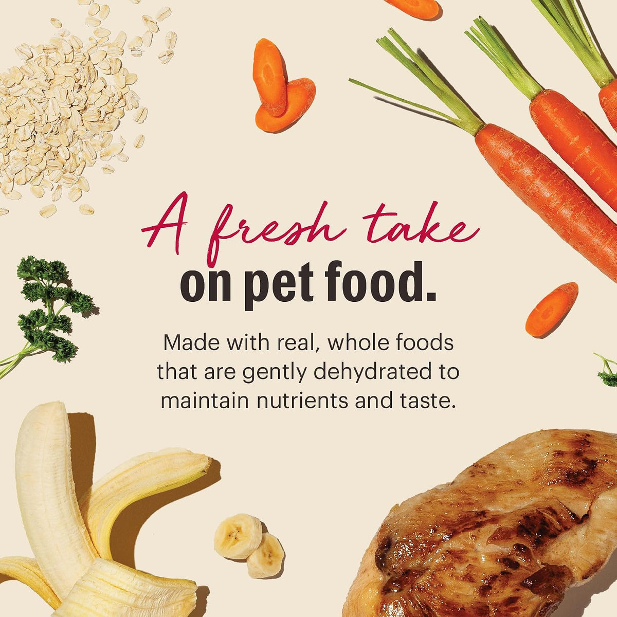 The Honest Kitchen Wholemade Whole Grain Chicken Recipe Dehydrated Dog Food, 10 lb