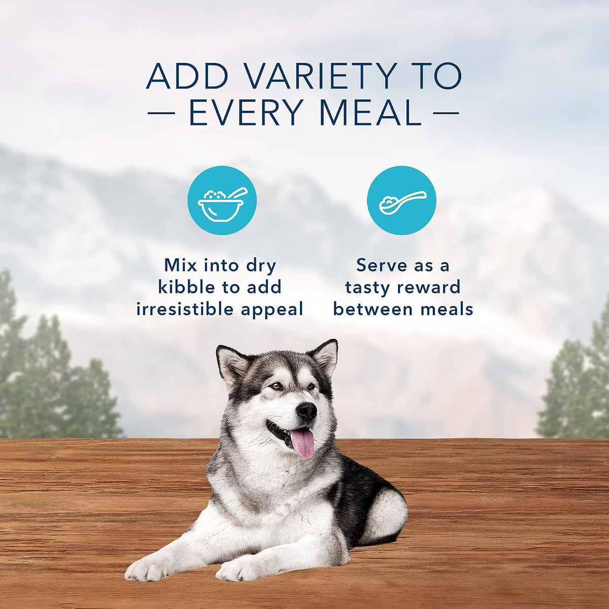 Blue Buffalo Wilderness Trail Toppers Wet Dog Food Variety, 24 x 3 oz