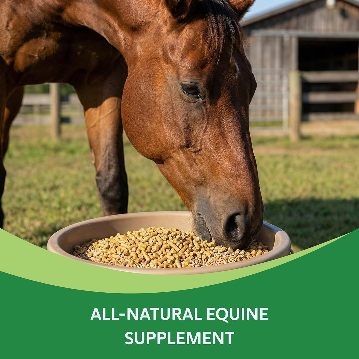 Heiro Insulin Rescue Supplement for Horses