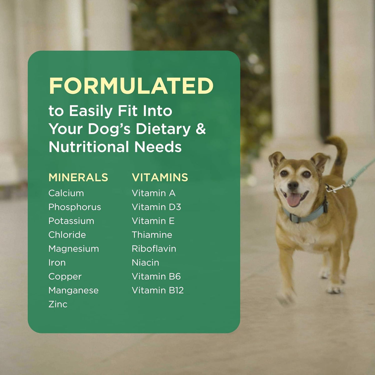 Pet-Tabs Multivitamin Supplement for Dogs