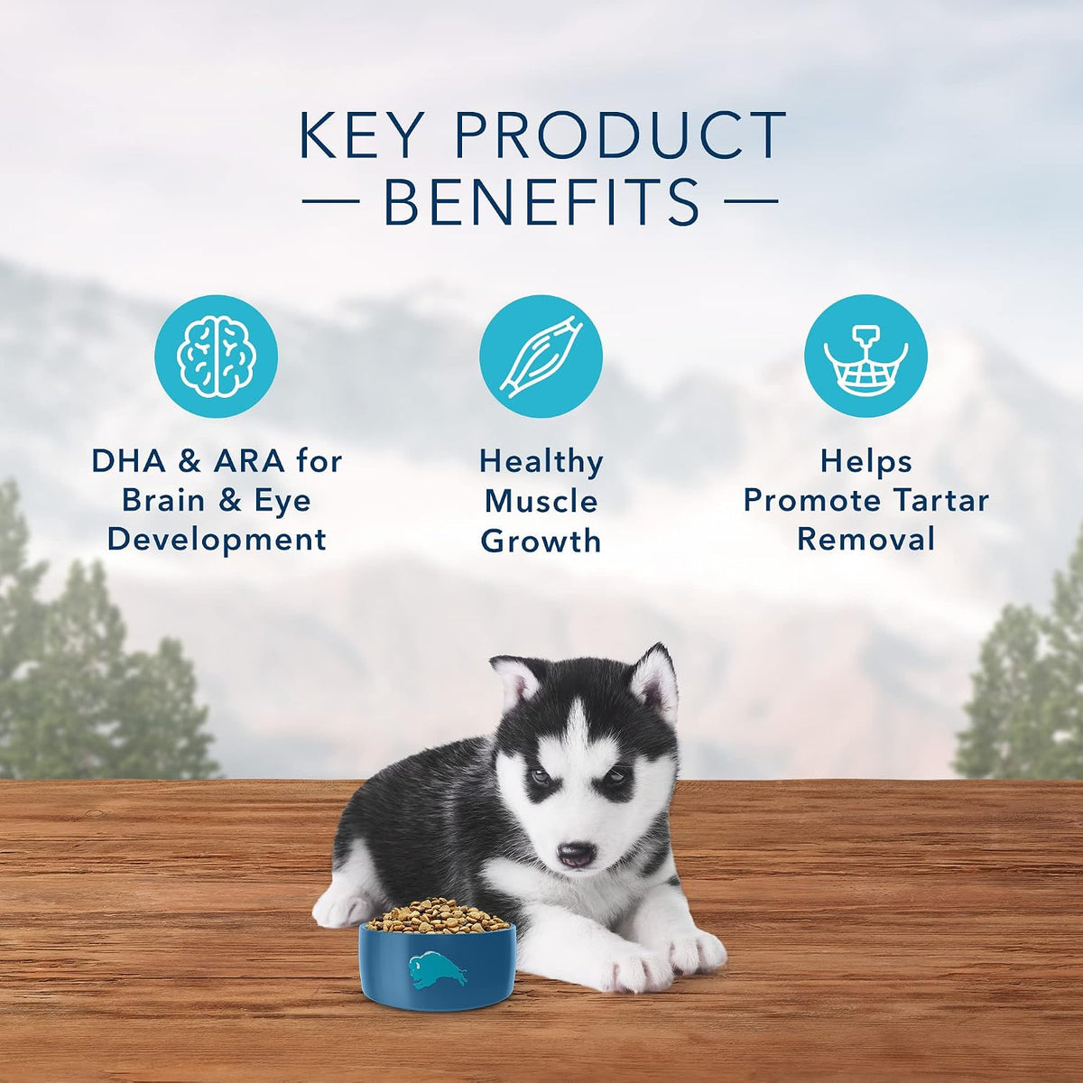 Blue Buffalo Wilderness Rocky Mountain Recipe Puppy Dry Dog Food, 4 lb