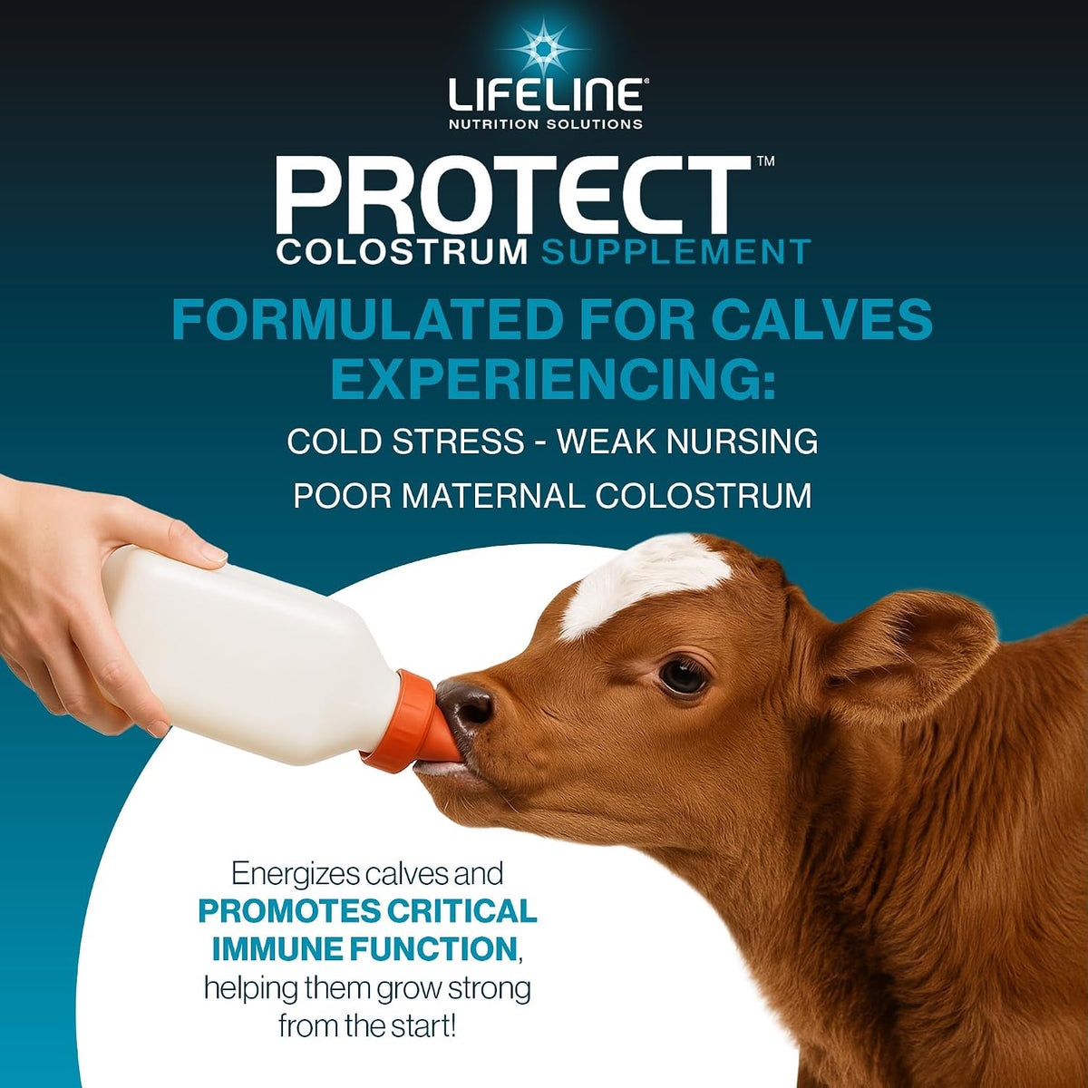 Annuso Lifeline Protect Colostrum Supplement for Calves, 1 lb