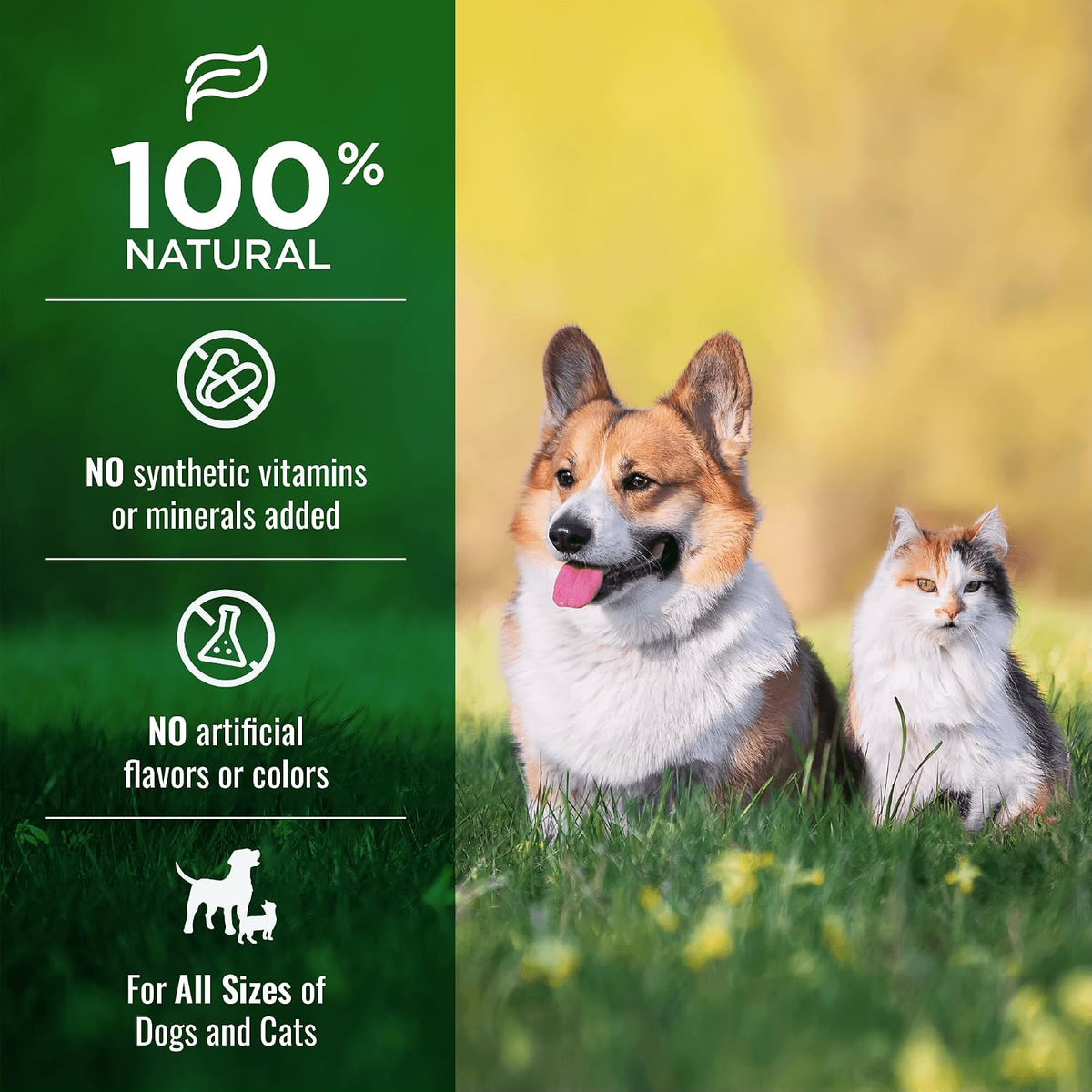 Nature's Logic Beef Lung Treats for Dogs & Cats, 1 lb