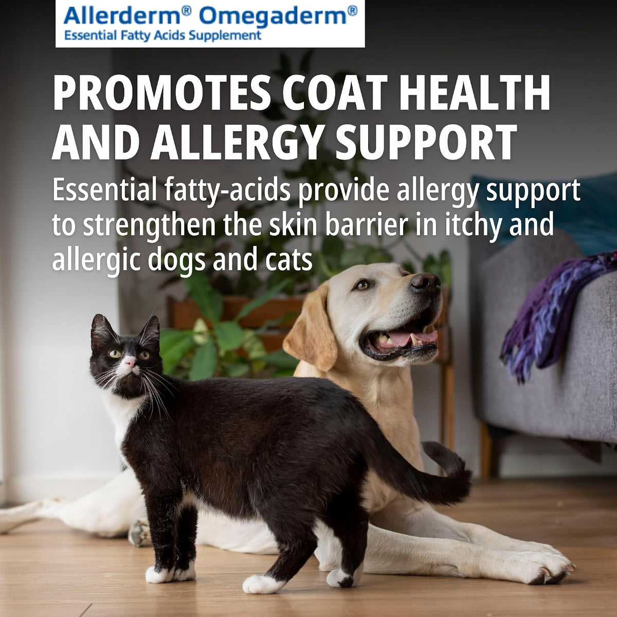 Virbac Allerderm Omegaderm Fatty Acid Supplement for Medium & Large Dogs