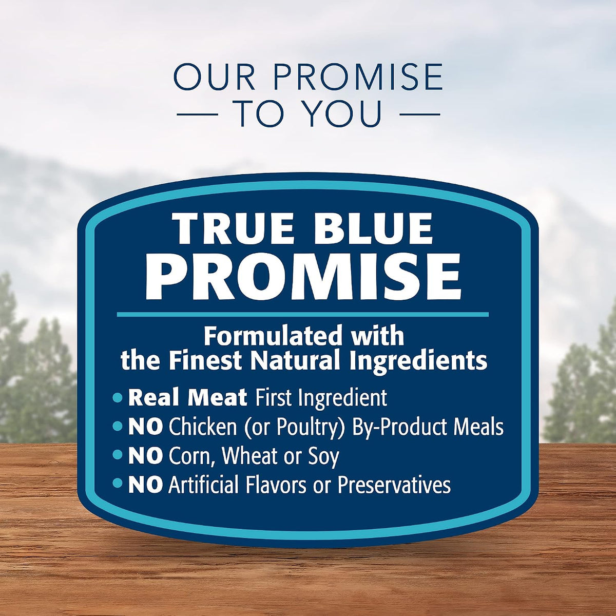 Blue Buffalo Wilderness Trail Toppers Wet Dog Food Variety, 24 x 3 oz