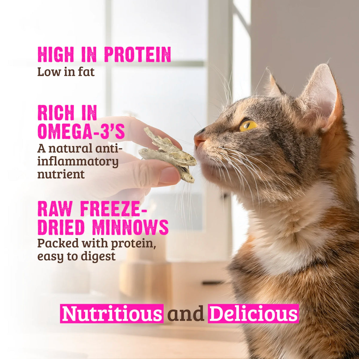 RAWZ Raw Freeze Dried Minnows Cat Treats – lifestyle photo