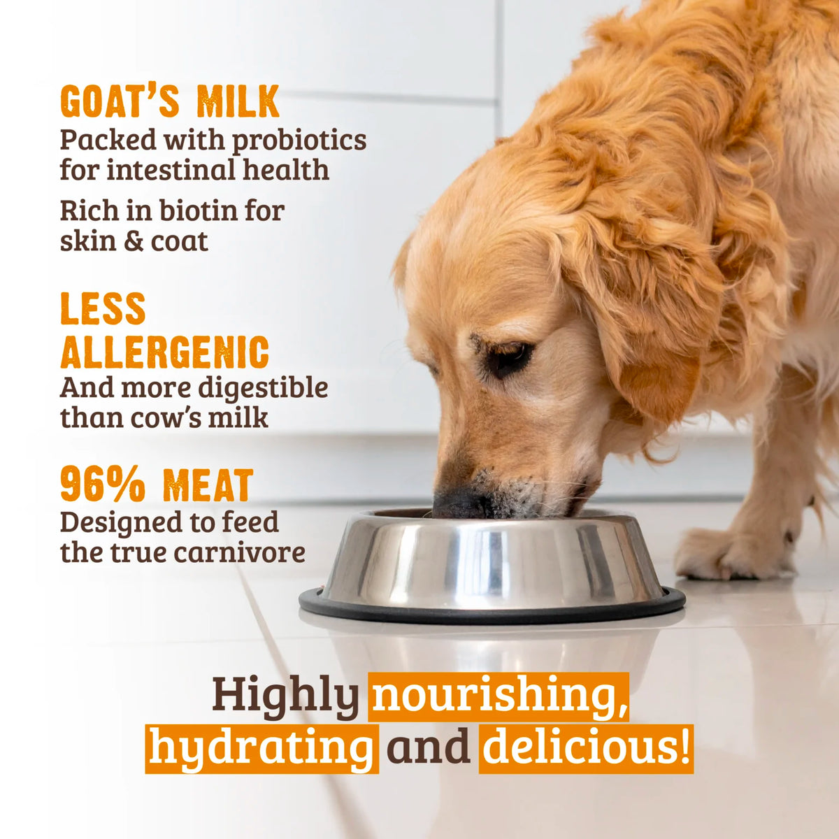 RAWZ 96% Chicken & Chicken Liver With Goat's Milk Dog Food – lifestyle photo