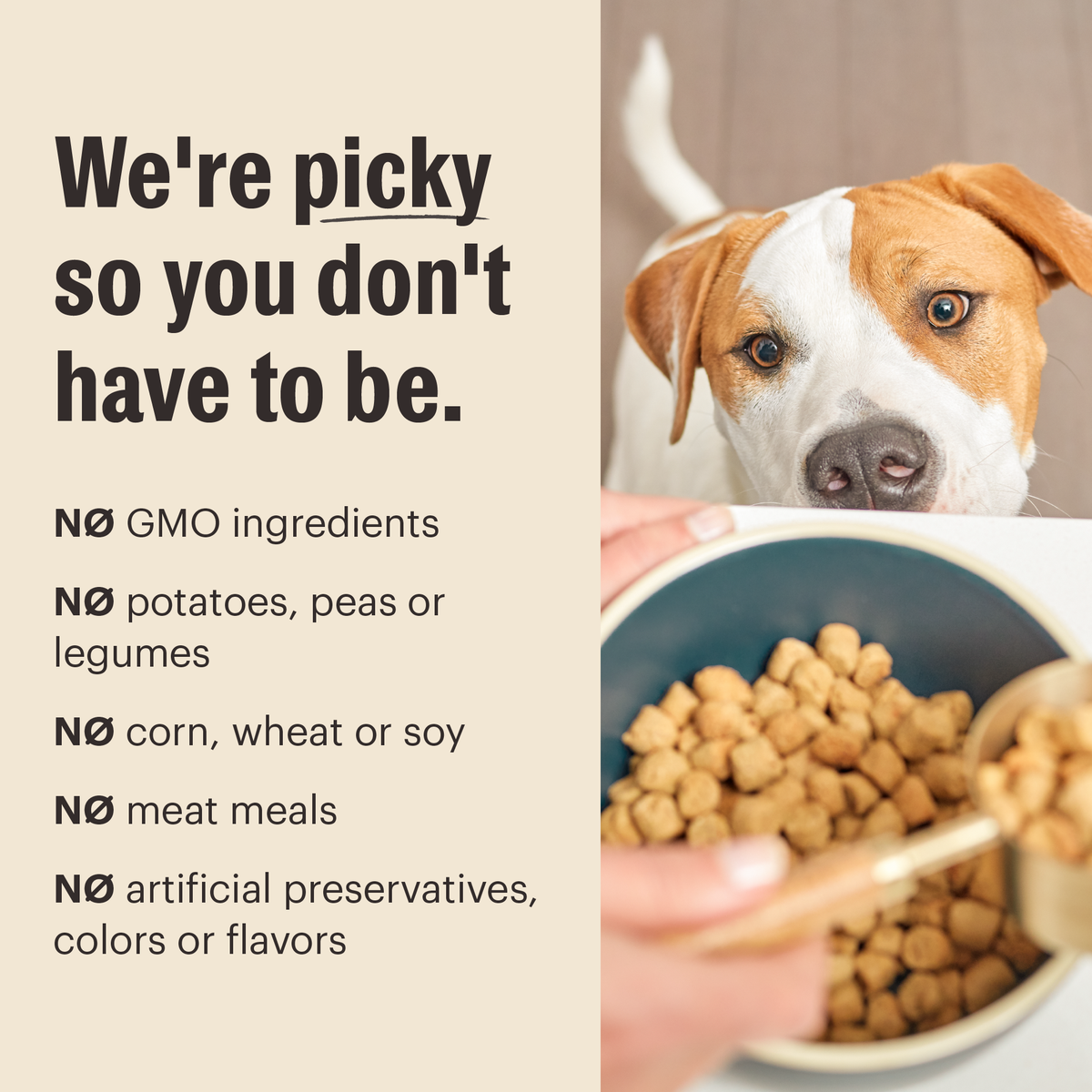 The Honest Kitchen Whole Grain Chicken Whole Food Clusters Dry Dog Food