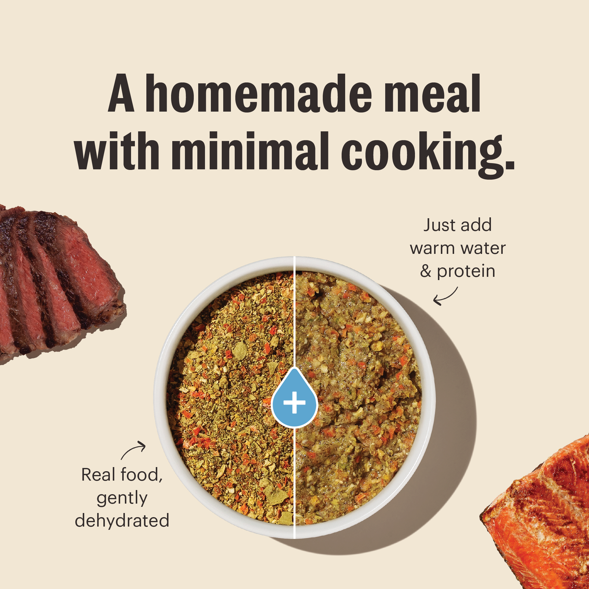 The Honest Kitchen Wholemade Grain Free Fruit & Veggie Base Mix Dehydrated Dog Food