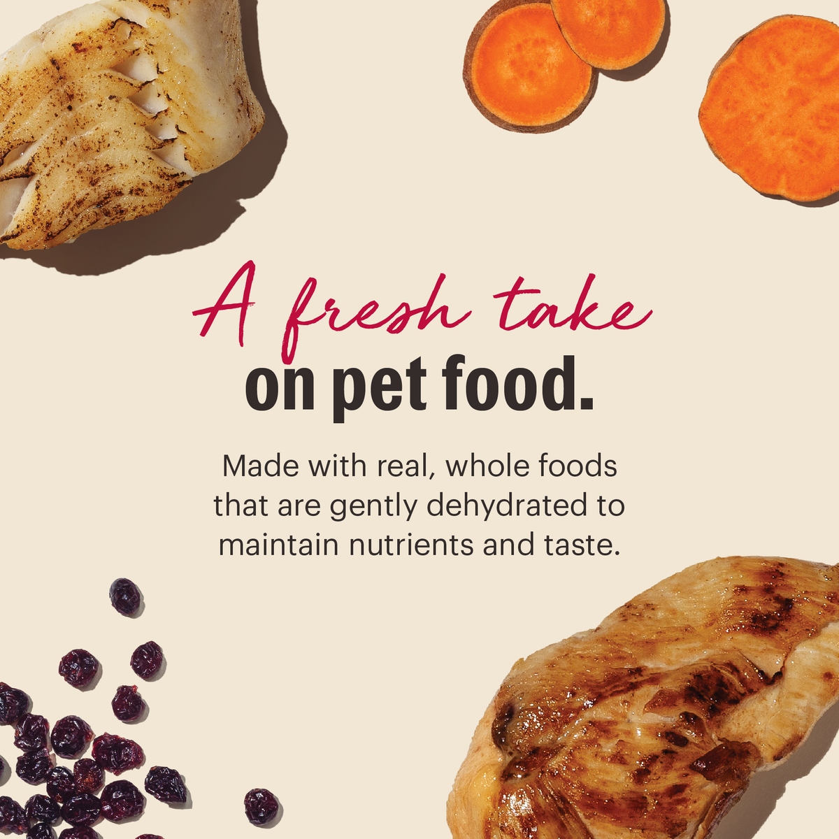 The Honest Kitchen Grain Free Chicken & Fish Dehydrated Cat Food