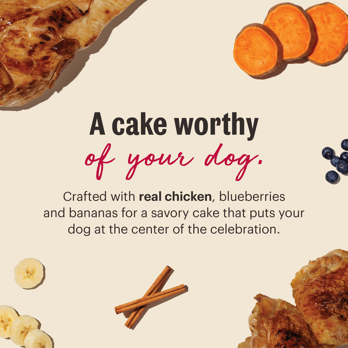 The Honest Kitchen Birthday Cake Mix made with Chicken & Blueberries Dog Treats