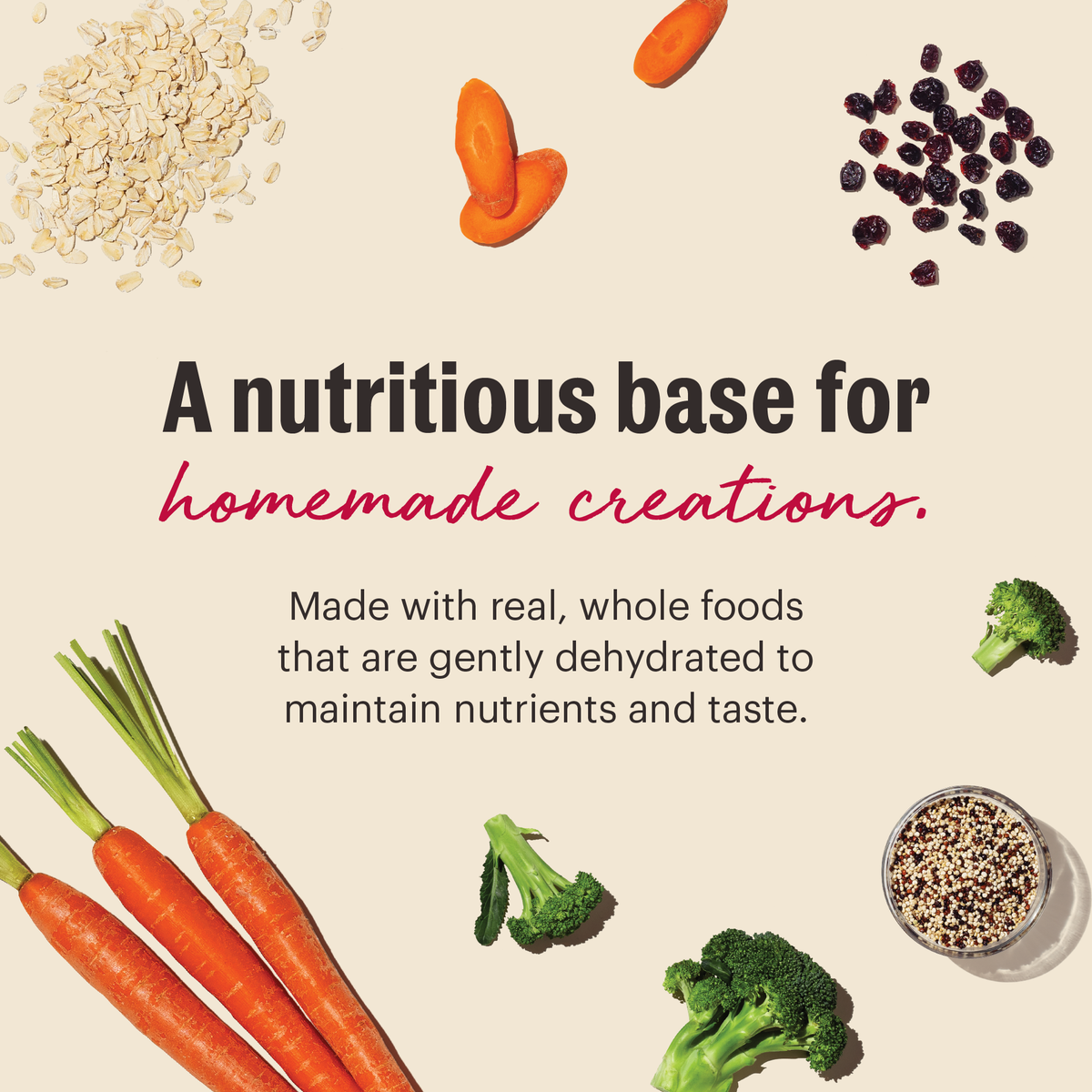 The Honest Kitchen Whole Grain Veggie & Fruit Wholemade Base Mix Dehydrated Dog Food