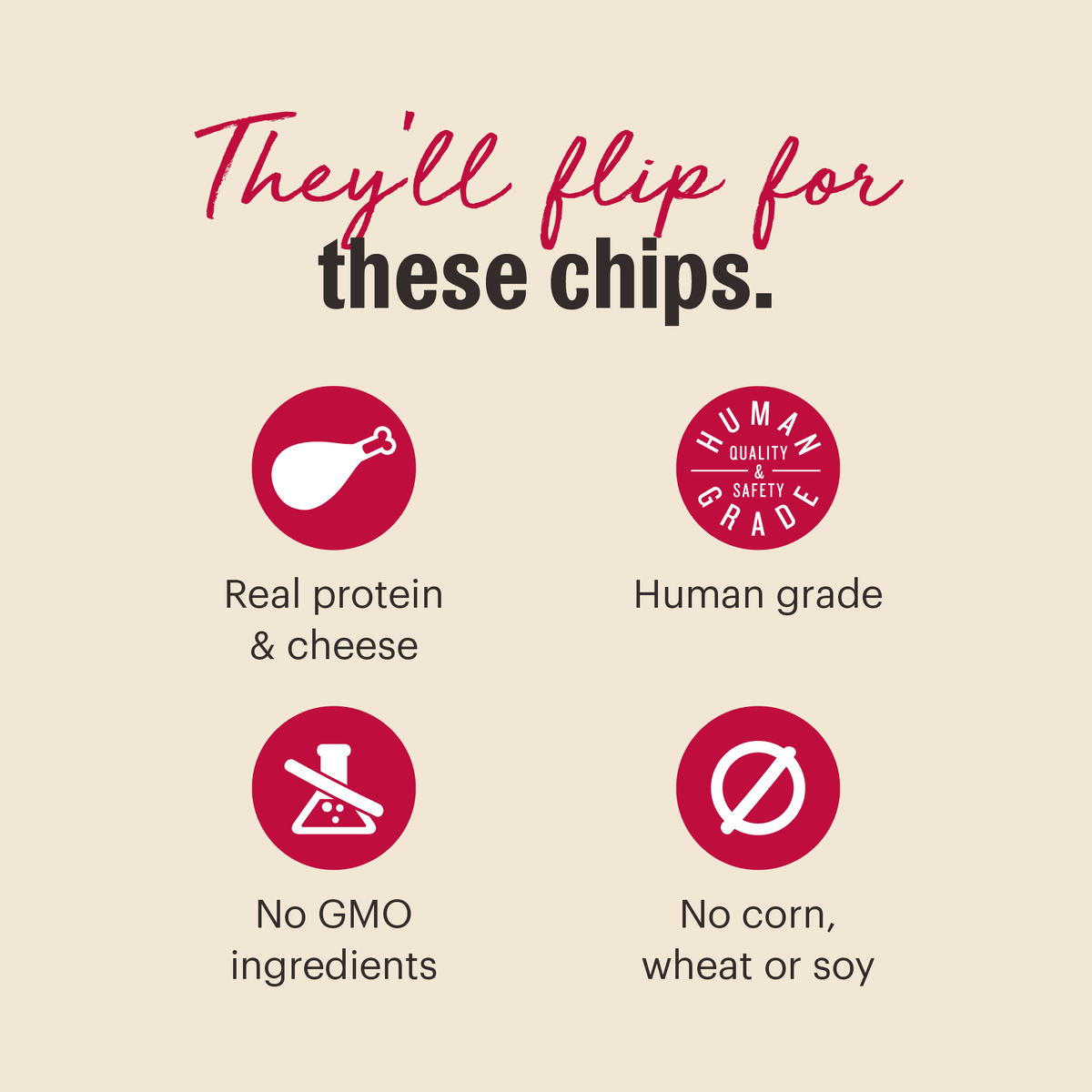 The Honest Kitchen Gourmet Beef Liver & Cheddar Chips Dog Treats