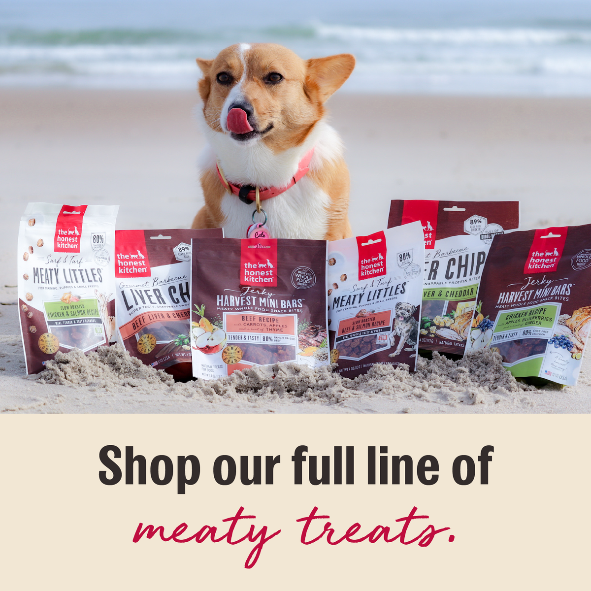 The Honest Kitchen Slow Cooked Chicken Jerky Chews Dog Treats