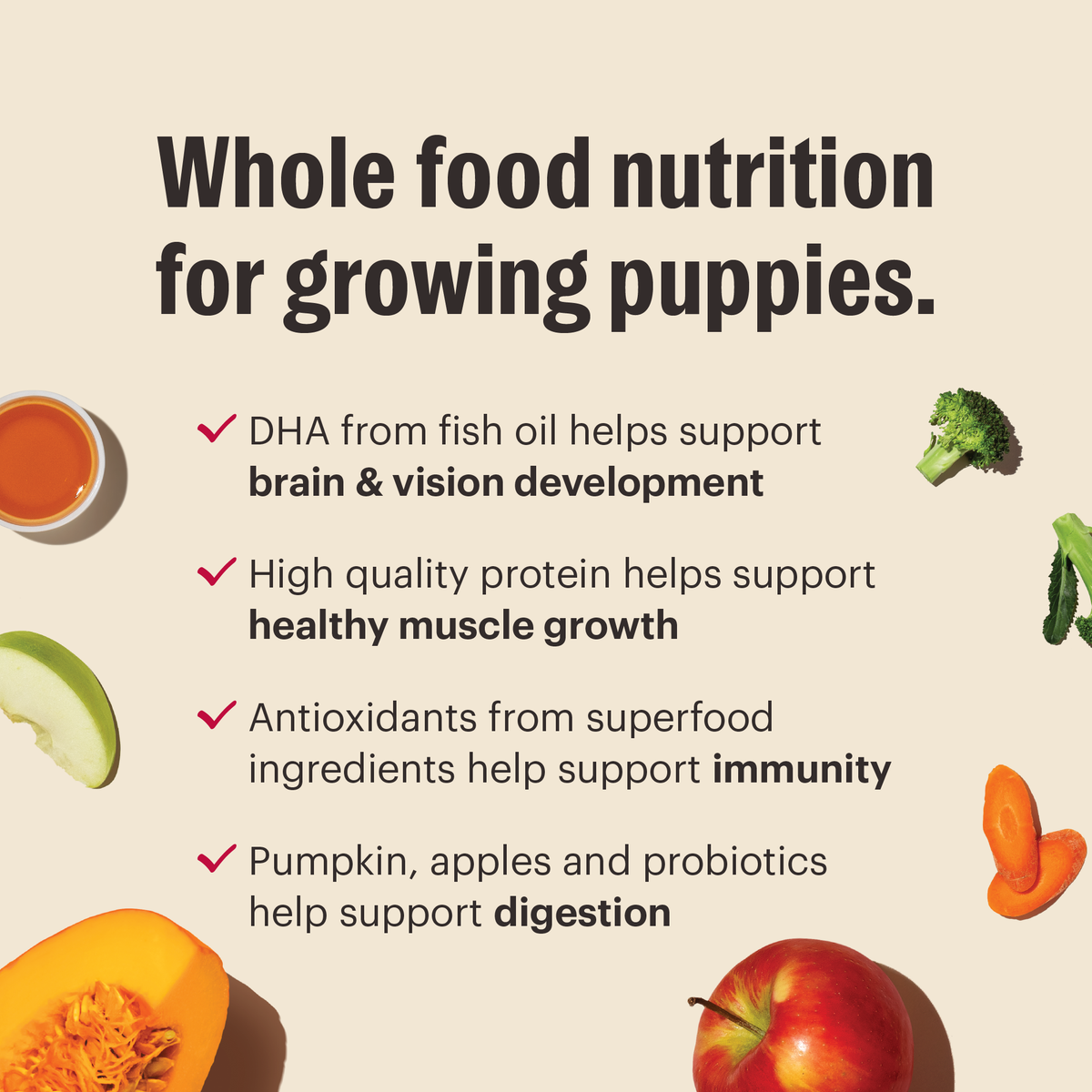 The Honest Kitchen Whole Grain Chicken Whole Food Clusters for Puppies Dry Dog Food