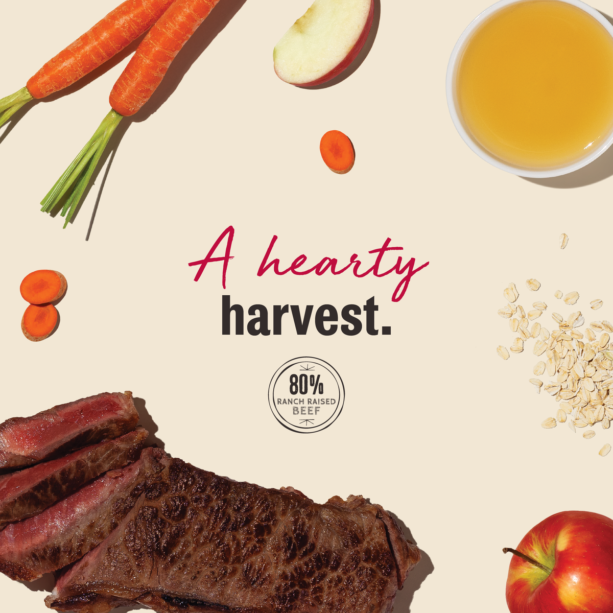 The Honest Kitchen Beef Jerky Harvest Bars Dog Treats