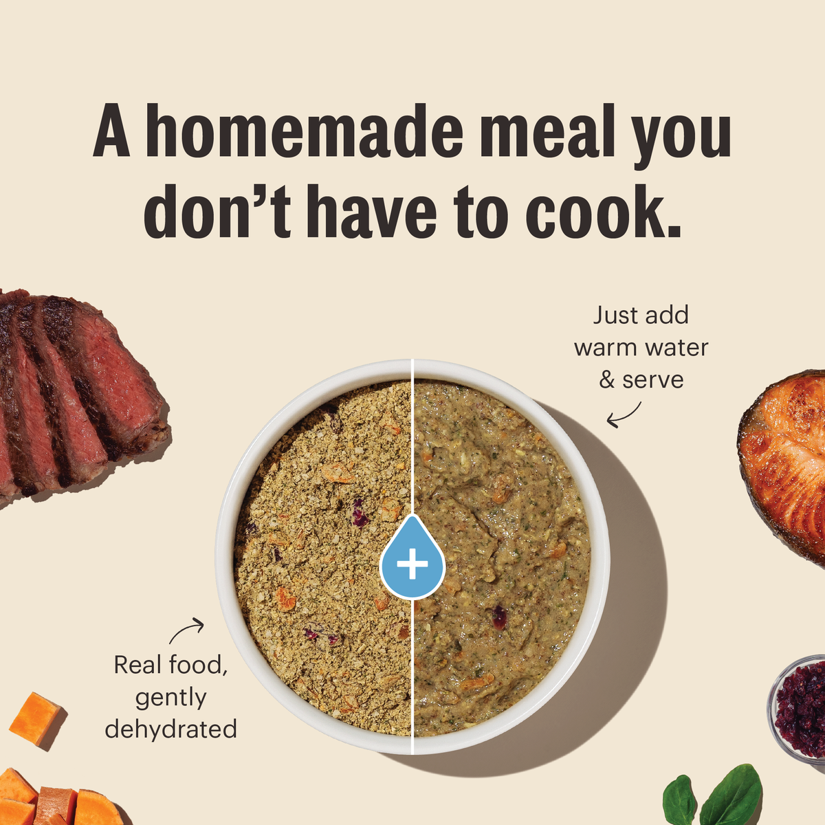 The Honest Kitchen Wholemade Limited Ingredient Fish Dehydrated Dog Food