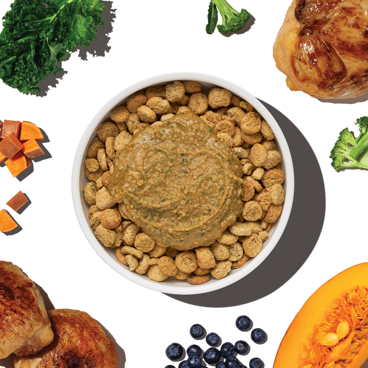 The Honest Kitchen Protein Plus Grain Free Chicken with Superfoods Topper for Dogs