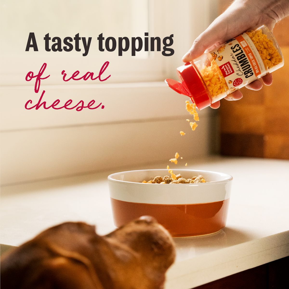 The Honest Kitchen Cheddar Crumbles Dog Food Topper