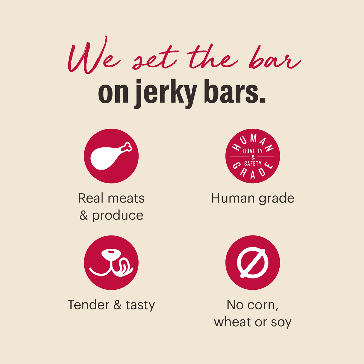 The Honest Kitchen Beef Jerky Harvest Bars Dog Treats
