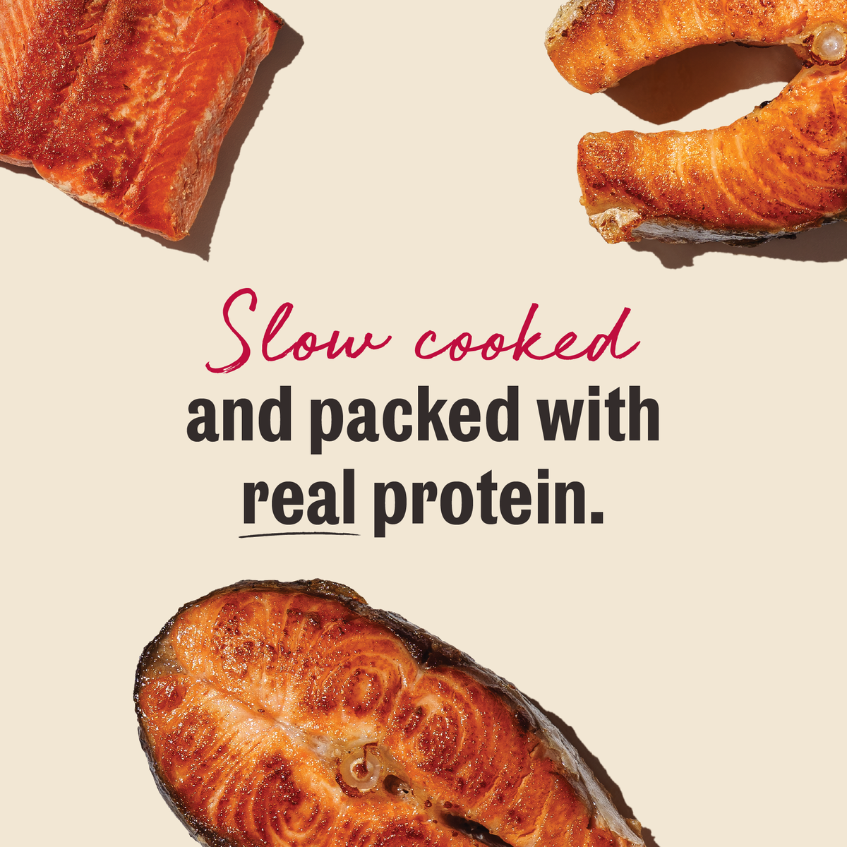 The Honest Kitchen Slow Cooked Salmon Jerky Chews Dog Treats