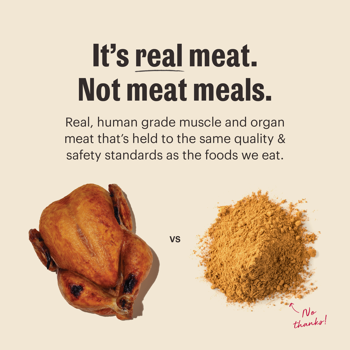 The Honest Kitchen Grain Free Chicken Protein Plus Clusters Dry Dog Food