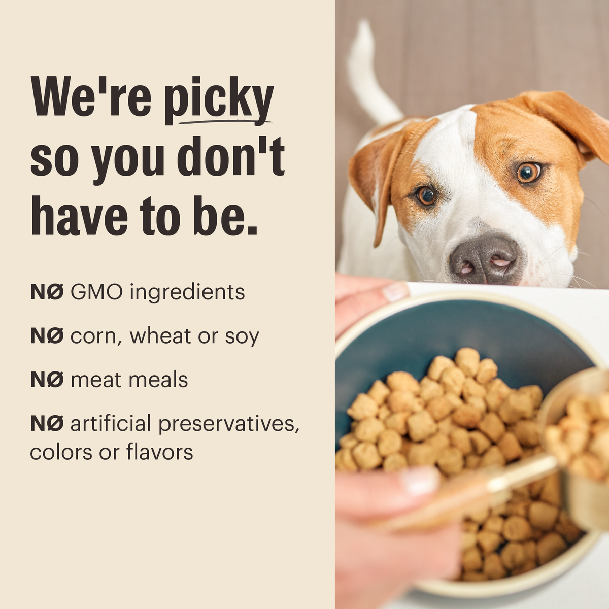 The Honest Kitchen Grain Free Beef Whole Food Clusters for Small Breeds Dry Dog Food