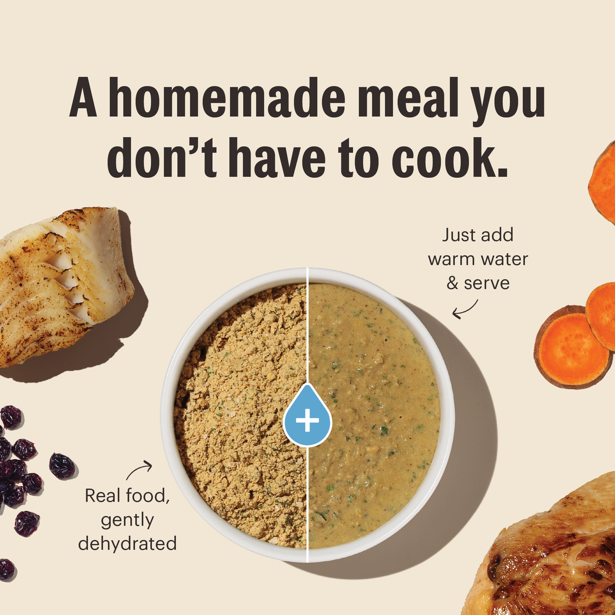 The Honest Kitchen Grain Free Chicken Dehydrated Cat Food