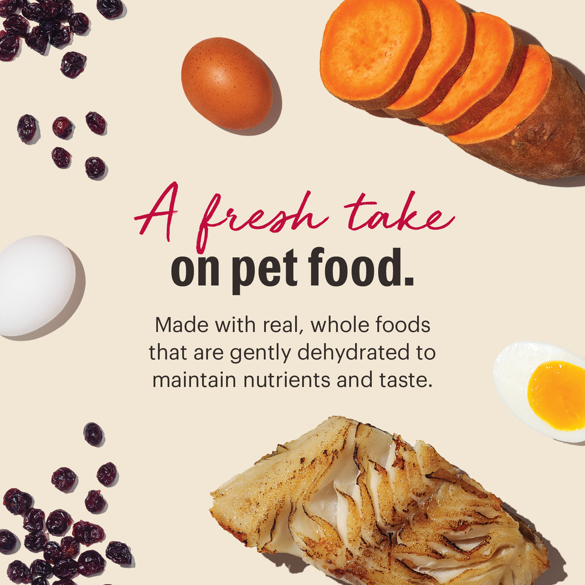 The Honest Kitchen Wholemade Grain Free Fish Dehydrated Dog Food