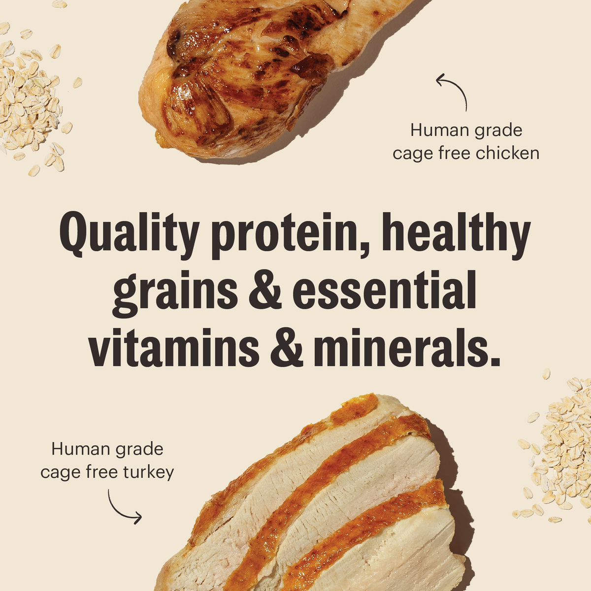 The Honest Kitchen Whole Grain Turkey & Chicken Essential Clusters Dry Dog Food