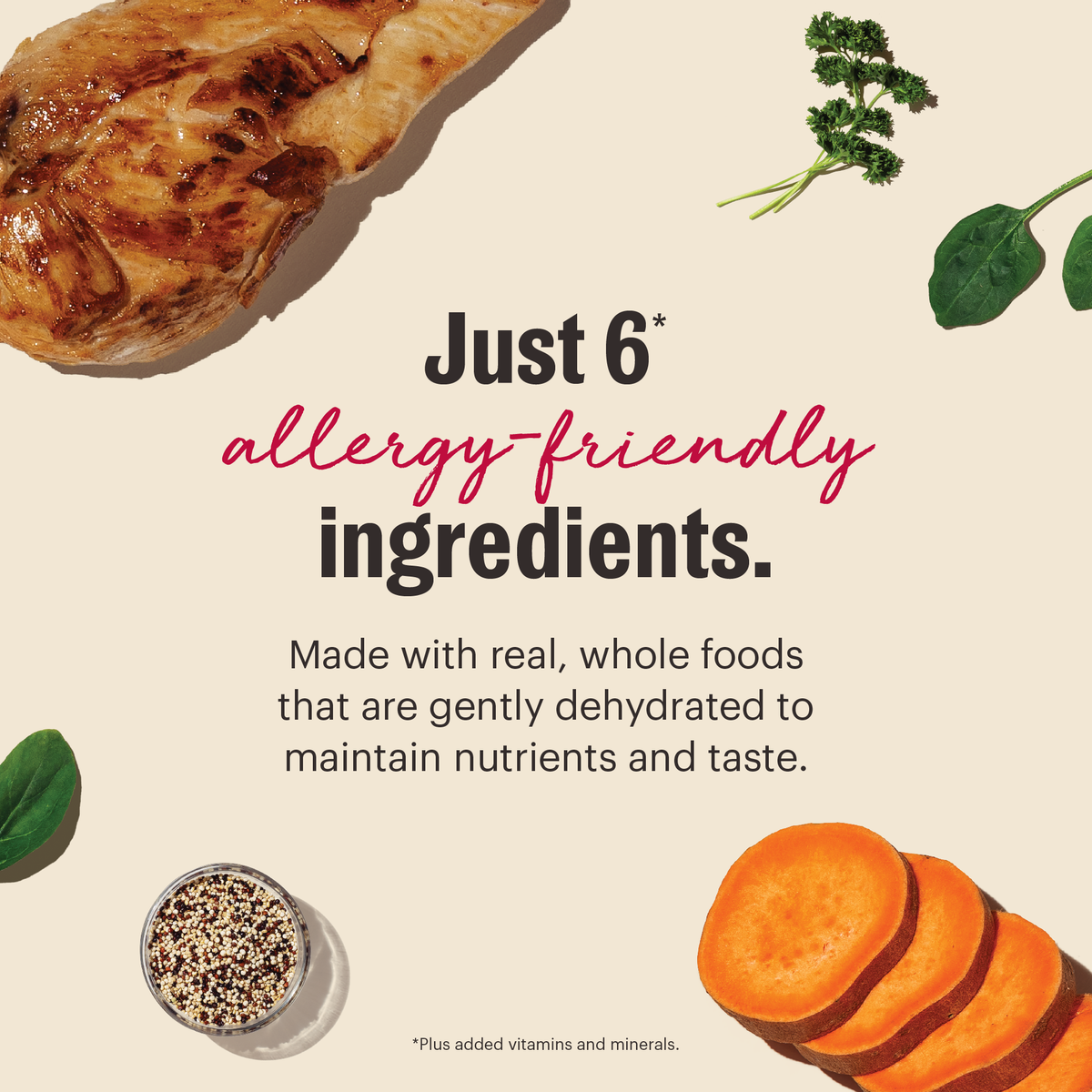 The Honest Kitchen Wholemade Limited Ingredient Chicken Dehydrated Dog Food
