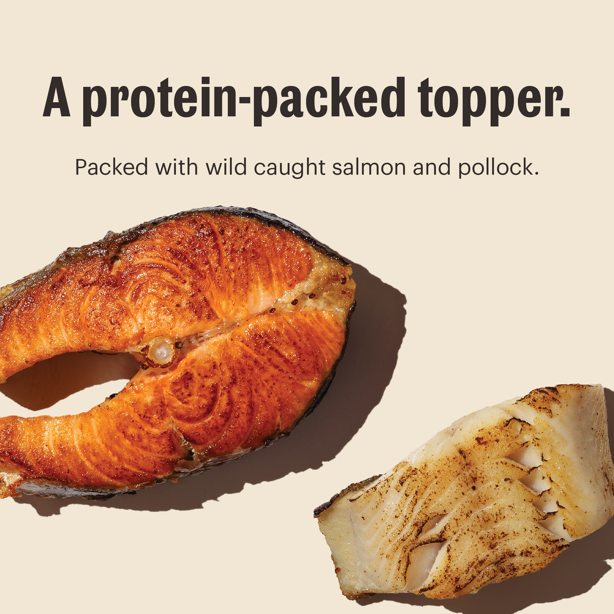 The Honest Kitchen Meal Booster - 99% Salmon & Pollock Dog Food Topper