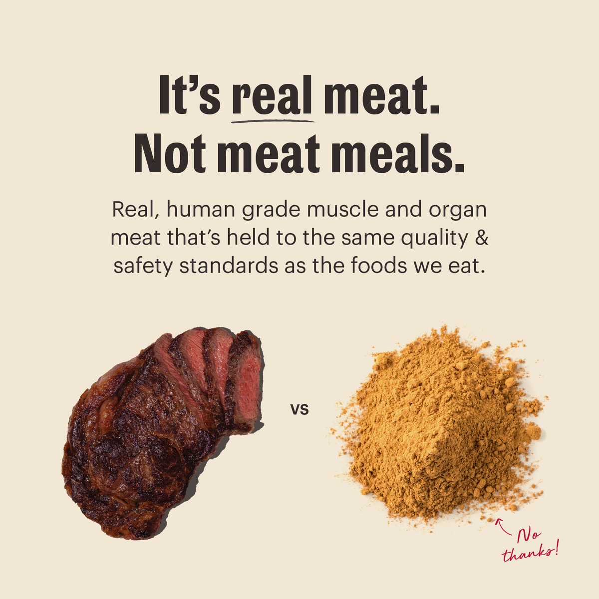 The Honest Kitchen Grain Free Beef & Chicken Protein Plus Clusters Dry Dog Food