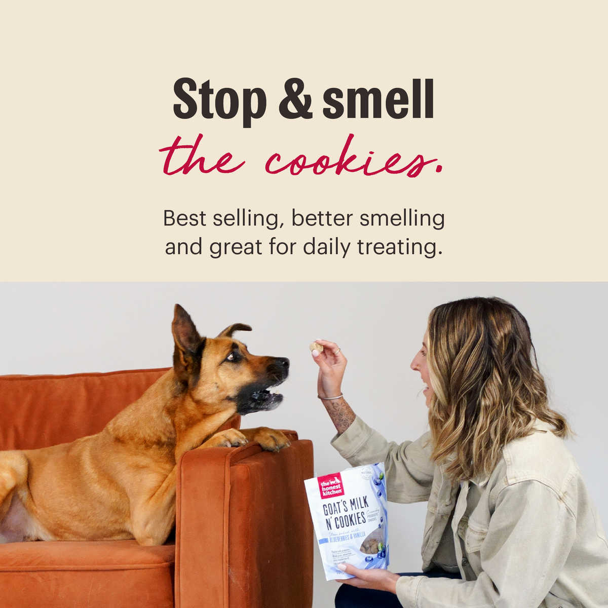 The Honest Kitchen Blueberry & Vanilla Goat's Milk N' Cookies Dog Treats