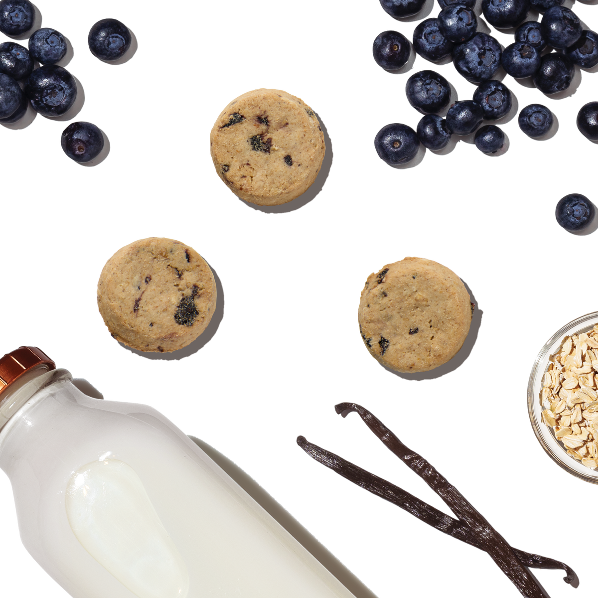 The Honest Kitchen Blueberry & Vanilla Goat's Milk N' Cookies Dog Treats
