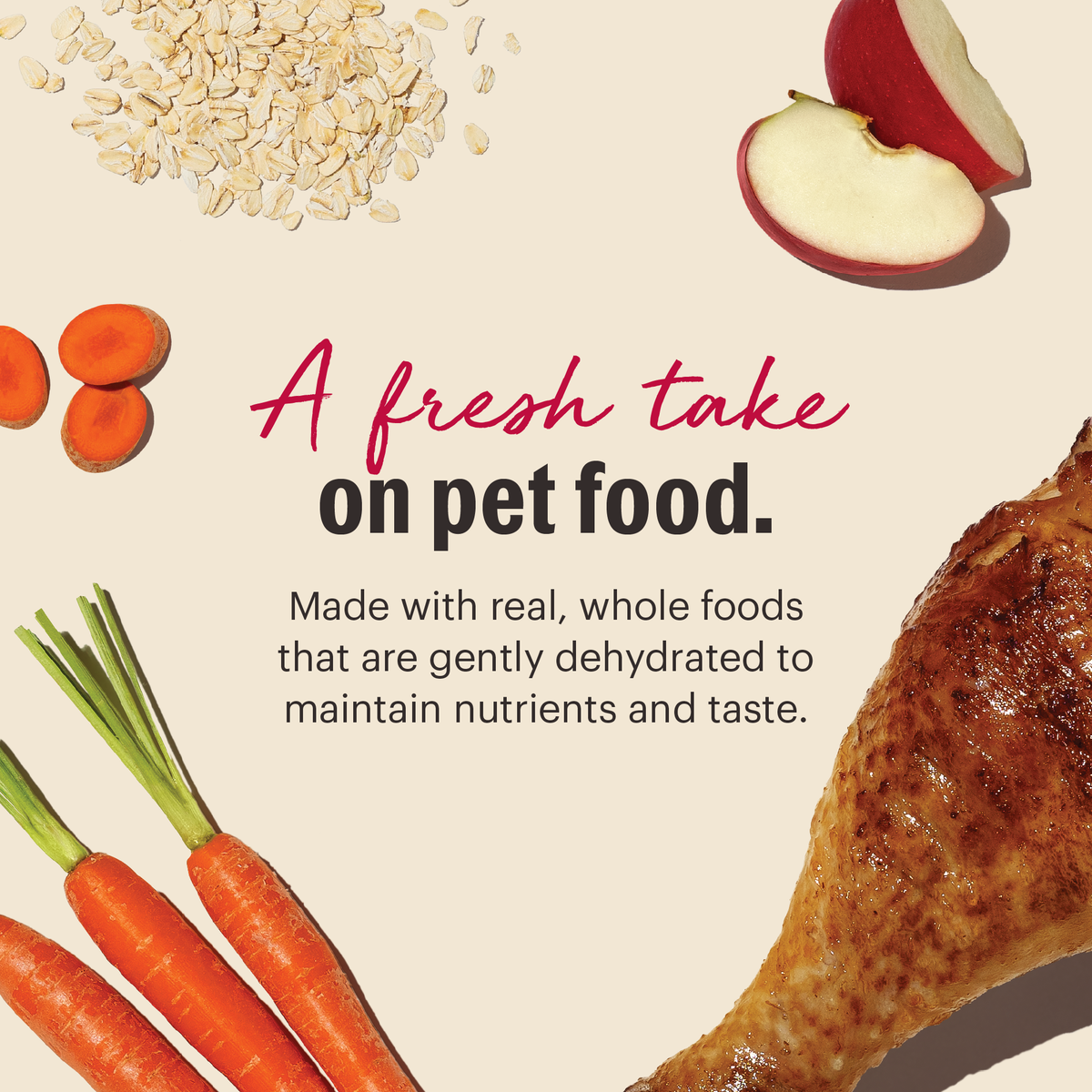 The Honest Kitchen Wholemade Whole Grain Turkey Dehydrated Dog Food