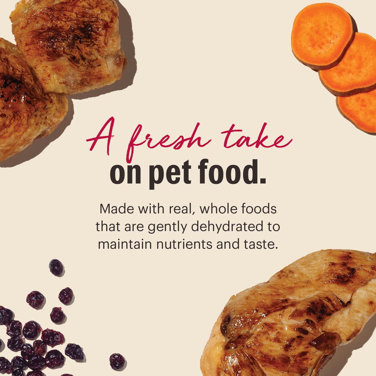 The Honest Kitchen Grain Free Chicken Dehydrated Cat Food