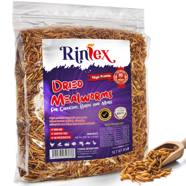 Mealworms--Freeze Dried, Koi & Pond Fish, Large Fish,Turtles, Birds Mealworms--Freeze Dried, Koi & Pond Fish, Large Fish,Turtles, Birds