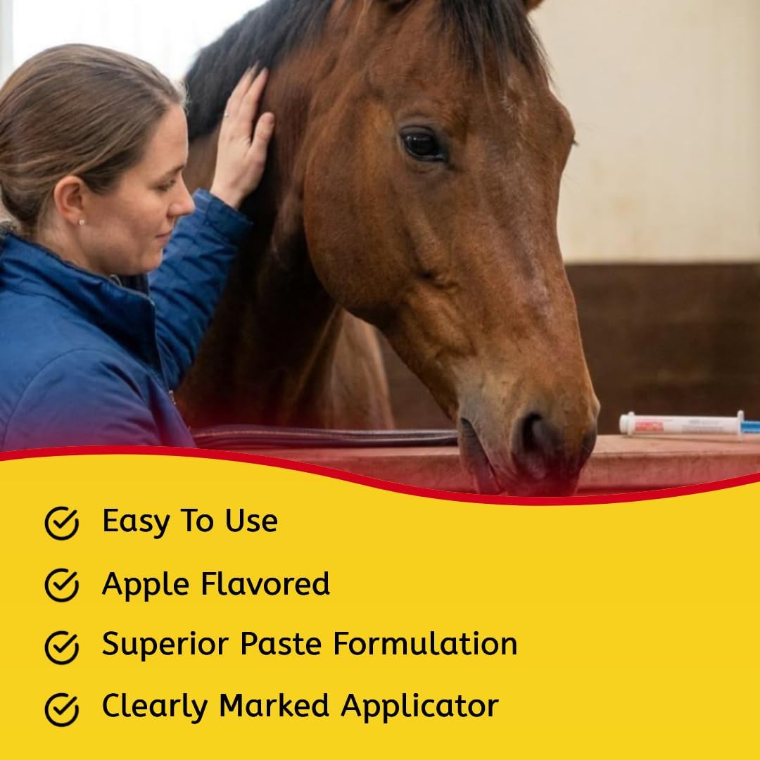 Durvet Ivermectin Paste 1.87% Horse Dewormer, Apple Flavor