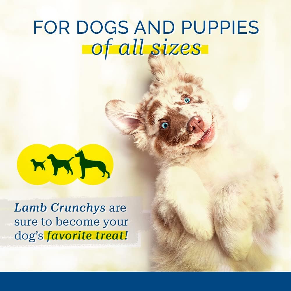 PCI Lamb Crunchys Dehydrated Lamb Dog Treats, 16 oz