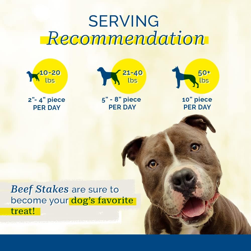 PCI Beef Stakes Dog Treats, 1 lb
