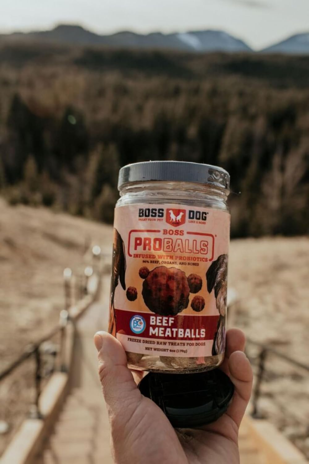 Boss Dog ProBalls Freeze-Dried Treats for Dogs & Cats, 6 oz