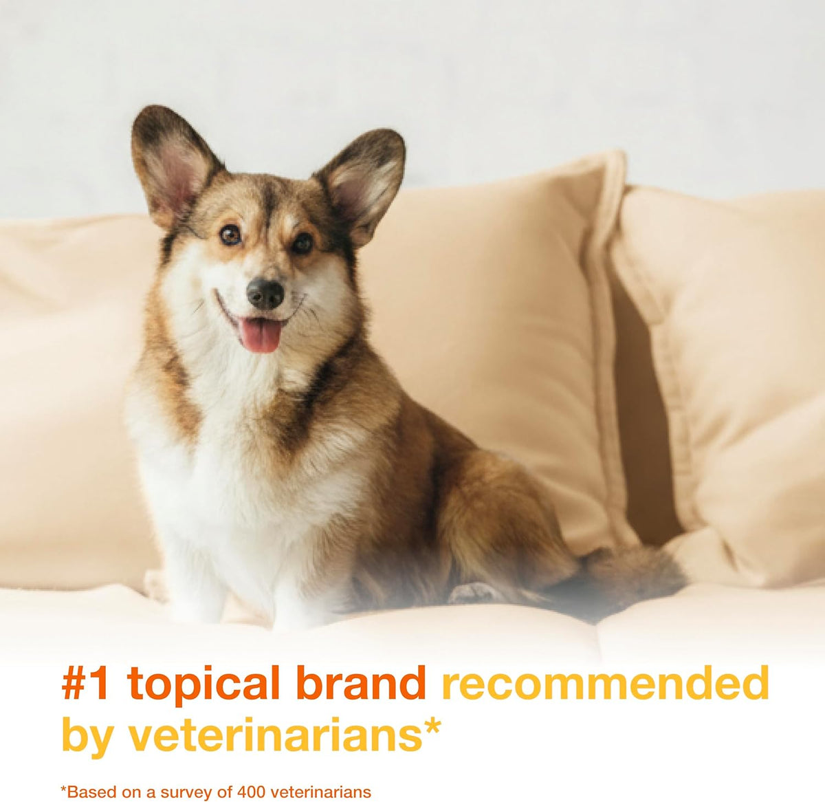 Douxo S3 PYO Mousse for Dogs & Cats
