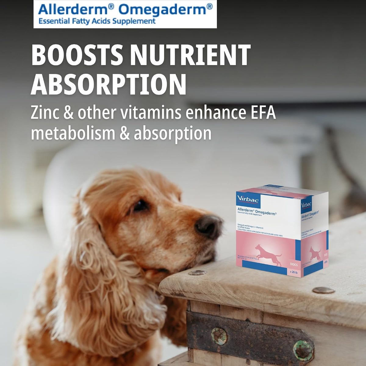 Virbac Allerderm Omegaderm Fatty Acid Supplement for Medium & Large Dogs