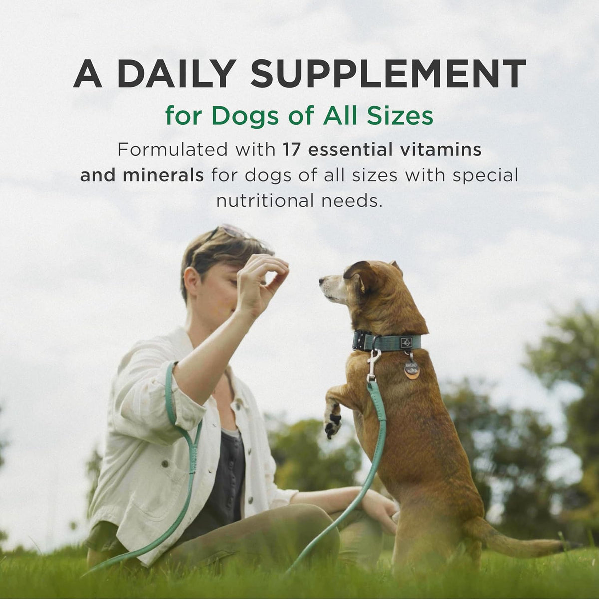 Pet-Tabs Multivitamin Supplement for Dogs